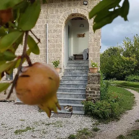 A Casa Di Samuele * Squille